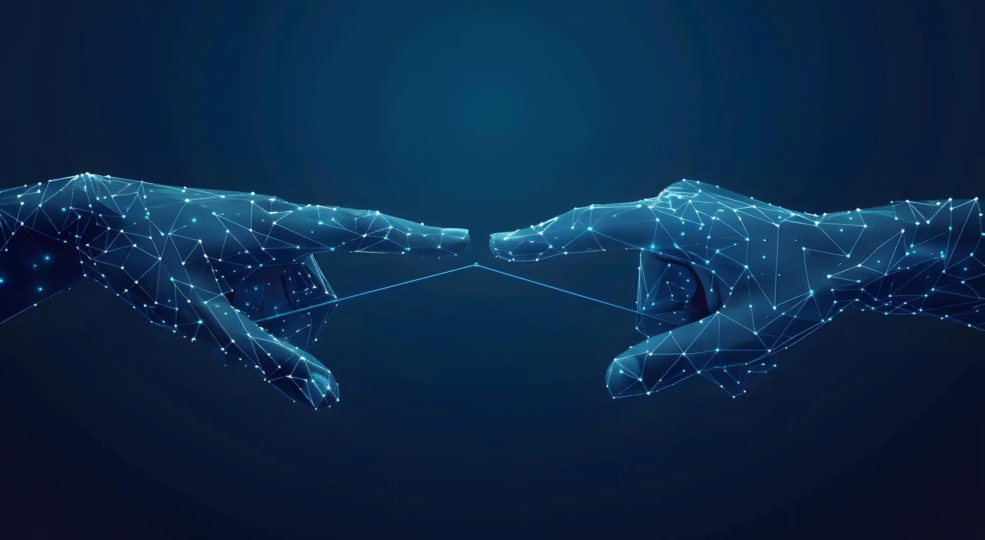 Participants background