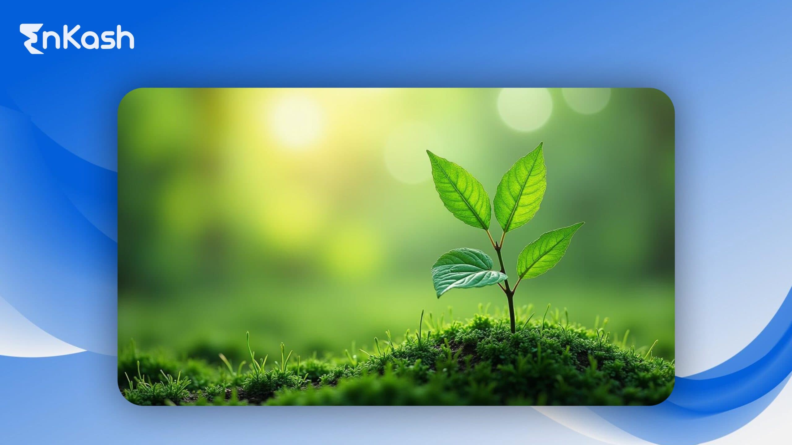 Why Should Startups Invest in Sustainable Technology?